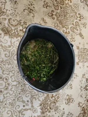 Fotka k příspěvku