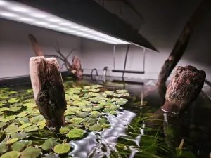 Fotka k příspěvku