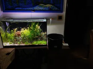 Fotka k příspěvku