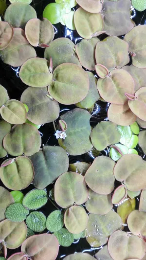 Fotka k příspěvku