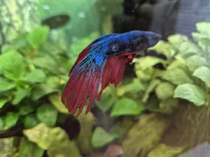 Fotka k příspěvku