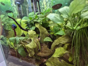 Fotka k příspěvku