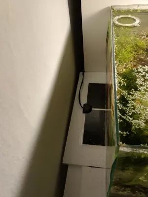 Fotka k příspěvku