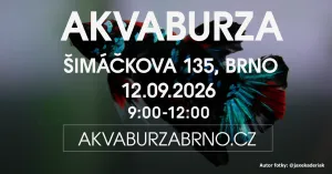 Fotka k příspěvku