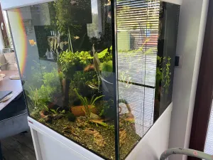 Fotka k příspěvku