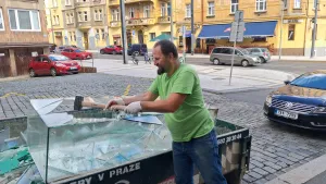 Fotka k příspěvku