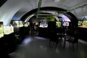 Fotka k příspěvku