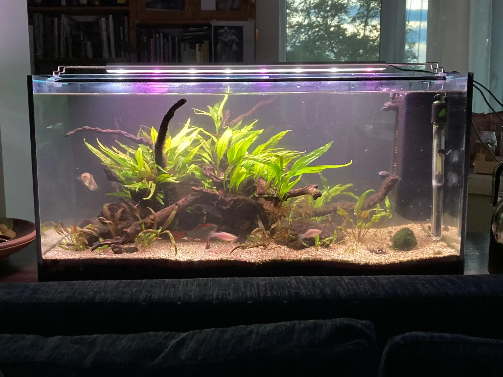 Fotka č. 3 k inzerátu 66823