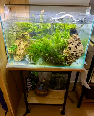 Fotka