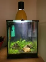 Nejoriginálnější akvárko