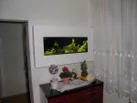 Nejoriginálnější akvárko