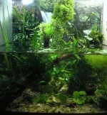 Nejoriginálnější akvárko