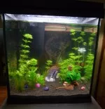 Nejzajímavější akvapozadí