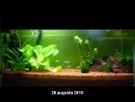 Nejhladovější ryba