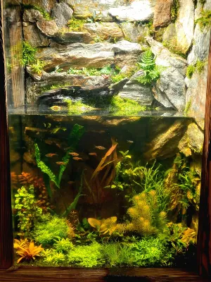 2 tyzdne po znovuzalozeni