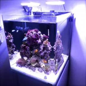 Michal's small Reef