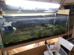 Generalka 12/2025. Snad