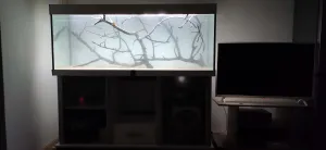 Dvě třešňové větve a centimetr filtračního písku.