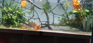 S troškou zeleně. S troškou zeleně.