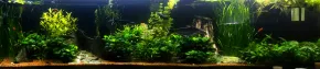 Akvárium 800l