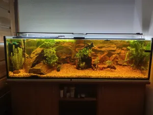 ozivenie po 10 rokoch