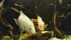 ... chvilenka na oddych, vyplněná jemnou komunikací...