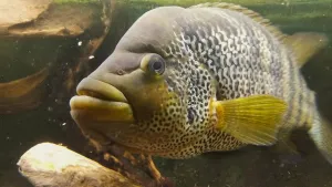 Neloudí krmení, prostě si se mnou přišel po jejich způsobu povídat.