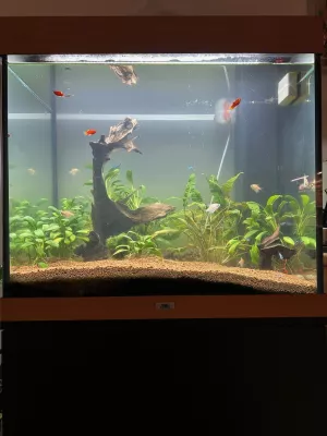 Po očistě 22.12.2024