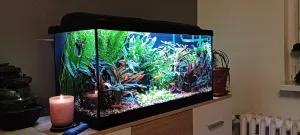 Aktuální,musel jsem to trochu prostříhat