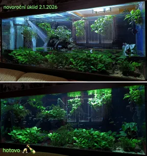 všechno nejlepší do roku 2026