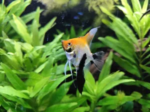 Fotka do soutěže na FB