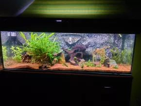 akvarium