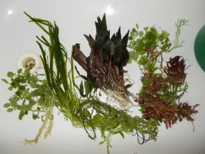 ...přebytečná směs, naštěstí si ji rozebrali kamoši...