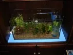 Zalooženie akvária