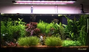 Dvěstěsedmdesátpětka