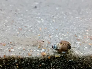 Prcek nejde ani vyfotit jak je světlí na tom písku