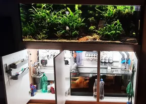 Akvo - Iľl be back :-)