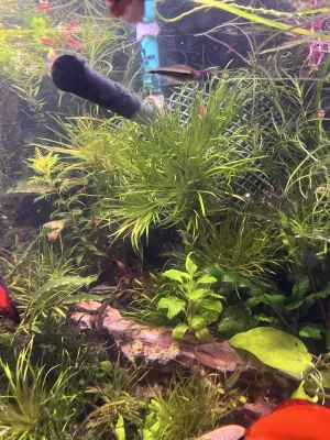 Blyxohrátky od pája66