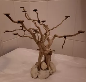 vyrobila jsem si základ pro bonsai do aqua