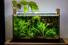 40l