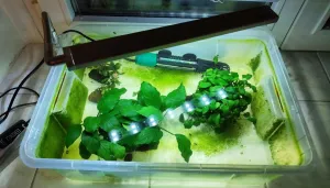 dočasné ubytování obyvatel R4