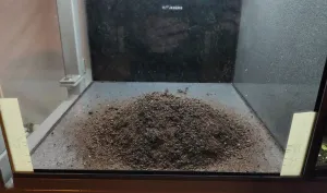 hlína podle Walstad