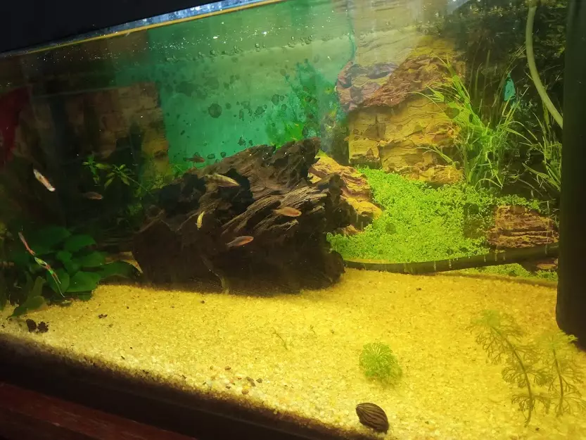 Prezentace