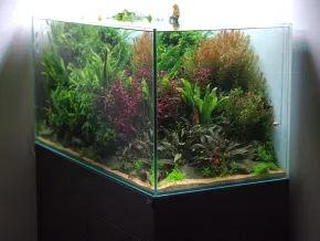 250l vol.I