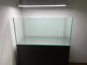 a dnešním dnem něco končí...