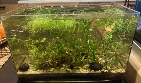 Ultra low tech 12l