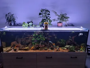 1.8.26