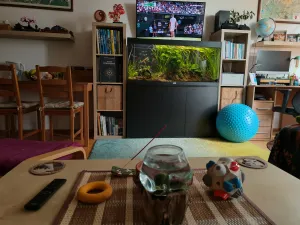 Náhled