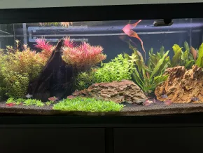 EHEIM 240