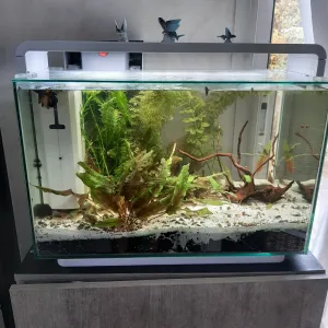 Nový vzhled bez echinacea kterého mi totálně zlikvidoval přístavní.